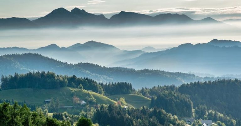 Eastern European Countries - Mountainous valley with evergreen forest against misty sky