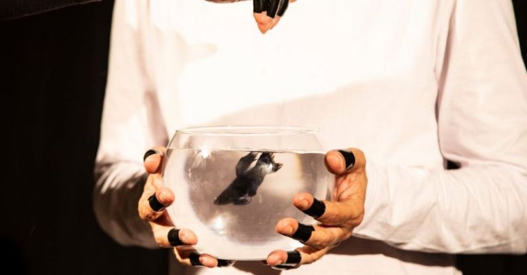 Staging - Crop people holding fishbowl with black fish