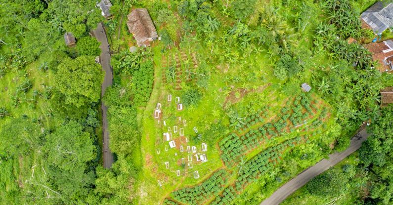 Eco-Friendly Homes - Bird's Eye View Photography of Green Land